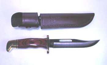 #119BR