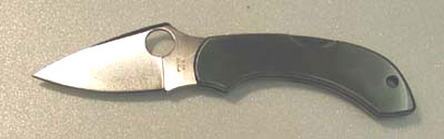 DORAGON FRY STAINLESS RP