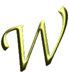 w logo